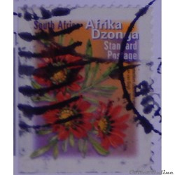 Afrique du Sud 01164 Fleurs de 2001