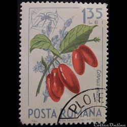 Roumanie 02089 Cornouiller mâle et araignée 1.35 Lei de 1964