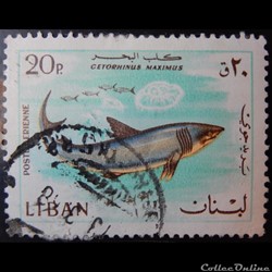 Liban PA0436 requin Pélerin 20p de 1968