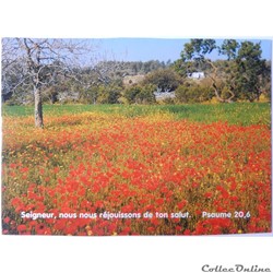 CP Citation biblique, Paysage