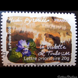 AA00312 Midi-Pyrénées - La Violette de Toulouse 20g