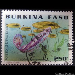 Burkina Faso 01002AA poisson Epiplatys Spilargyreius 250f de 1997