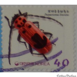 Corée du Sud 01925 insecte Purpuricenus lituratus 40W de 2000