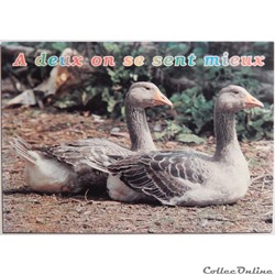 CP humour "Oie"