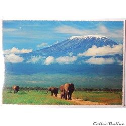 CP du Kenya, le Kilimanjaro