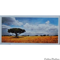 CP Peinture