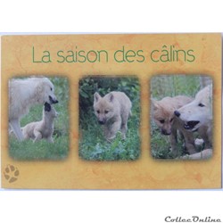 CP Animaux, Loup