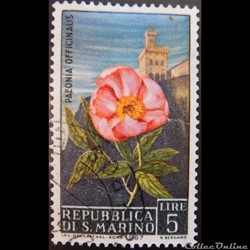 Saint-Marin 00687 Pivoine officinale 5L de 1967