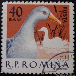Roumanie 01910 Canard de Pékin 40 Bani de 1963