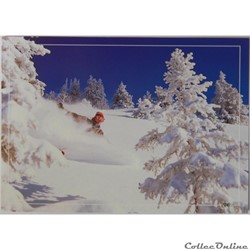 CP Sports Surf