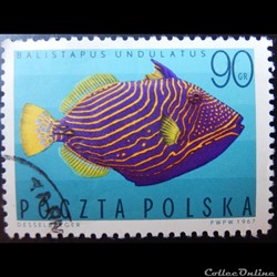 Pologne 01602 Baliste ondulé 90Gr de 1967