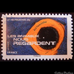 AA01158 Ara hyacinthe 20g