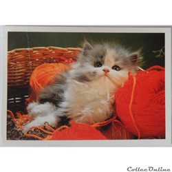 CP Animaux, Chat