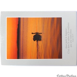CP Citation biblique, Cygne