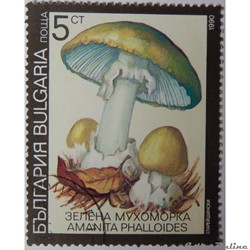 Bulgarie 03352 Amanite phalloïde 5CT de 1991
