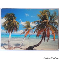 CP de Martinique