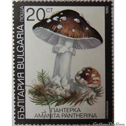 Bulgarie 03354 Amanite panthère 20CT de 1991