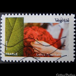 AA01080 Végétale 20g de 2015