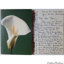 CP Flore, Arum