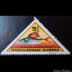 Mongolie 00273 Thymallus arcticus 15 M de 1962