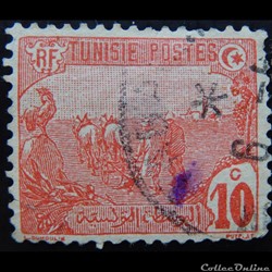 Tunisie 00032 fermier 10c de 1906