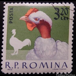 Roumanie 01915 Dindon femelle 3.20 Lei de 1963