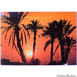 CP de Tunisie