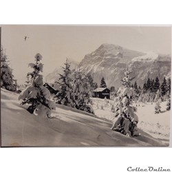 CP Paysage, montagne enneigée