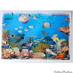 CP de Martinique, poissons tropicaux
