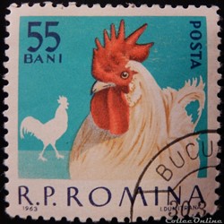 Roumanie 01911 Coq Blanc 55 Bani de 1963