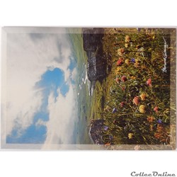 CP Paysage, montagne
