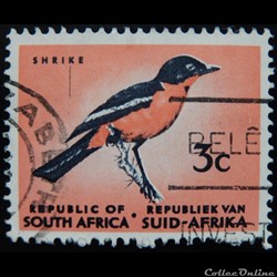 Afrique du Sud 00253 Gonolek rouge-noir 3c de 1961