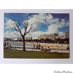 CP des Alpes-Maritimes, Cannes