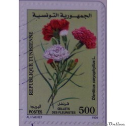 Tunisie 01368 Fleur Oeillets des fleuristes 500LSd de 1999