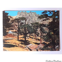CP de la Corse, Bavella