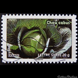 AA00750 Chou cabus 20g