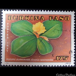 Burkina Faso 01002AC fleurs Burkinabé 175f de 1997