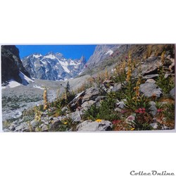 CP des Hautes-Alpes
