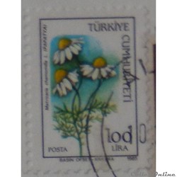 Turquie 02473 fleur Camomille 100L de 1985