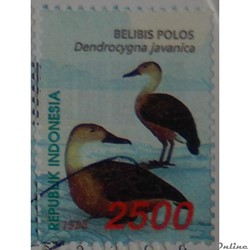 Indonésie 01657 oiseau Dendrocygne siffleur 2500Rp de 1998