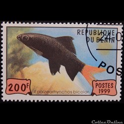 Bénin 00904 poisson labeo bicolor 200f de 1999