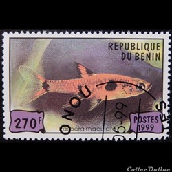 Bénin 00905 poisson rasbora orné 270f de 1999