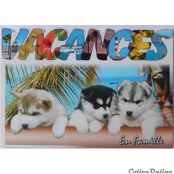 CP Vacances avec chiots