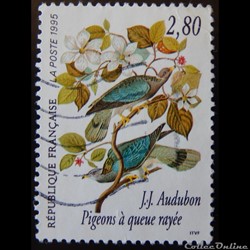 02930 Les oiseaux de John J. Audubon Pigeons à queue rayée - Columba fasciata 2F80