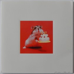 CP Joyeux Anniversaire avec Hamster