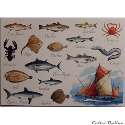 CP Animaux, poissons