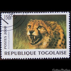 Togo 02992 Guépard 150F de 2000