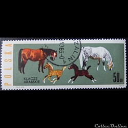 Pologne 01315 juments et poulains arabe 50Gr de 1963