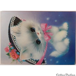 CP Peinture, chat