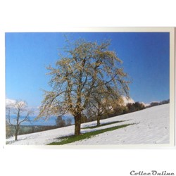 CP de Suisse, Saint-Gall, Rorschacherberg